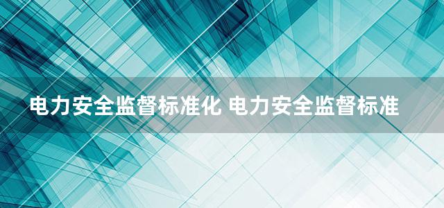 电力安全监督标准化 电力安全监督标准化委会